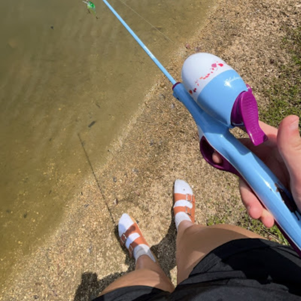 Meet your Posher, Reagan